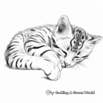 Sleeping Bengal Cat Coloring Pages 4