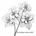 Smooth Hydrangea: Kid-Friendly Coloring Pages 2