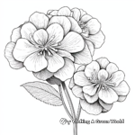 Smooth Hydrangea: Kid-Friendly Coloring Pages 3