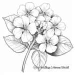 Smooth Hydrangea: Kid-Friendly Coloring Pages 4
