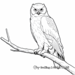 Snowy Owl Perching on Branch Coloring Pages 4
