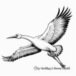 Soaring Crane Coloring Pages 2