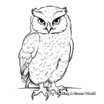 Solitary Snowy Owl Coloring Pages 1