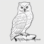 Solitary Snowy Owl Coloring Pages 2