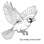 Southern Cardinal Avian Coloring Pages 4
