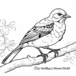 Southern Mockingbird Coloring Pages 2