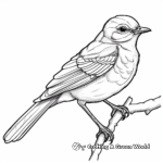 Southern Mockingbird Coloring Pages 3