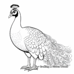 Spalding Peacock Hybrid Coloring Pages 1