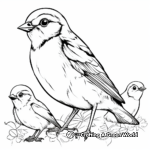 Sparrow Family Coloring Pages: Male, Female, and Chicks 2