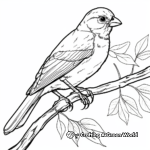 Sparrow Habitat Coloring Pages: Forests, Grasslands, and Cities 2