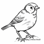 Spectacular Sparrow Coloring Pages 2