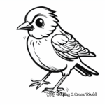 Spectacular Sparrow Coloring Pages 4