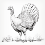 Spectacular Turkey Display Coloring Pages 3