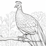 Spotlight on Bornean Peacock-Pheasant Coloring Pages 4