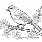 Springtime Robin Coloring Pages 2