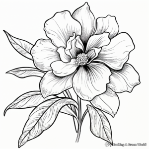 Striking Orchid Coloring Pages for Adults 4