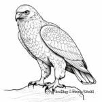 Striking Red-Tailed Hawk Coloring Pages 3