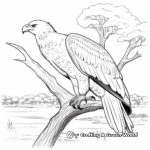 Stunning African Fish Eagle Coloring Pages 1