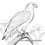 Stunning African Fish Eagle Coloring Pages 2