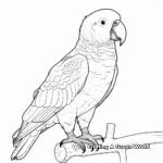 Stunning African Grey Parrot Coloring Pages 1