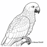 Stunning African Grey Parrot Coloring Pages 2