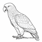 Stunning African Grey Parrot Coloring Pages 3