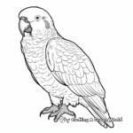 Stunning African Grey Parrot Coloring Pages 4