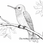 Stunning Anna's Hummingbird Coloring Sheets 2