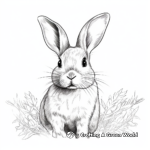 Stunning Bunny Portrait Coloring Pages for Adults 2