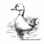 Stunning Common Loon Coloring Pages 1