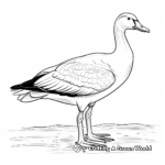 Stunning Emperor Goose Coloring Pages 3