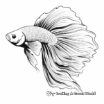 Stunning Ombre Betta Fish Coloring Pages 1