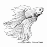 Stunning Ombre Betta Fish Coloring Pages 3