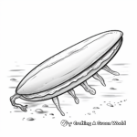 Stunning Razor Clam Coloring Pages 2