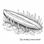Stunning Razor Clam Coloring Pages 4