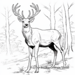 Stunning Red Deer Stag Coloring Pages 3