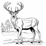 Stunning Red Deer Stag Coloring Pages 4