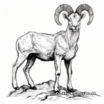 Stunning Rocky Mountain Bighorn Sheep Coloring Pages 2