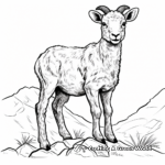 Stunning Rocky Mountain Bighorn Sheep Coloring Pages 4