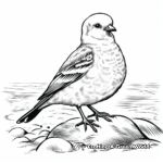 Stunning Snow Bunting Coloring Pages 1