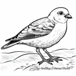 Stunning Snow Bunting Coloring Pages 2