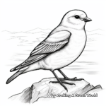 Stunning Snow Bunting Coloring Pages 4
