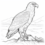 Stunning Steller's Sea Eagle Coloring Sheets 1