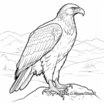 Stunning Steller's Sea Eagle Coloring Sheets 2