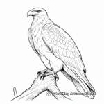 Stunning Steller's Sea Eagle Coloring Sheets 3