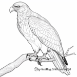 Stunning Steller's Sea Eagle Coloring Sheets 4