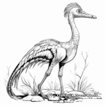 Stunning Troodon Fossil Coloring Pages 3