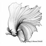 Stunning Veiltail Betta Fish Artistic Coloring Pages 1