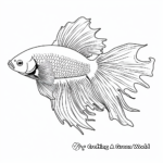 Stunning Veiltail Betta Fish Artistic Coloring Pages 4