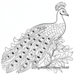 Stunning White Peacock Coloring Pages 1